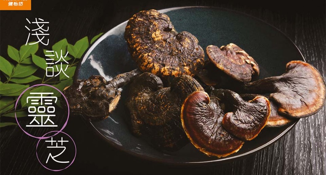 破壁灵芝孢子功效-浅谈灵芝