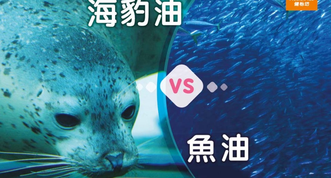 海豹油好处-海豹油同鱼油有咩唔同？