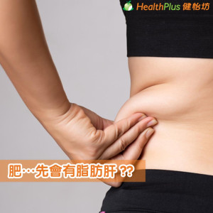 肥….先会有脂肪肝 ??