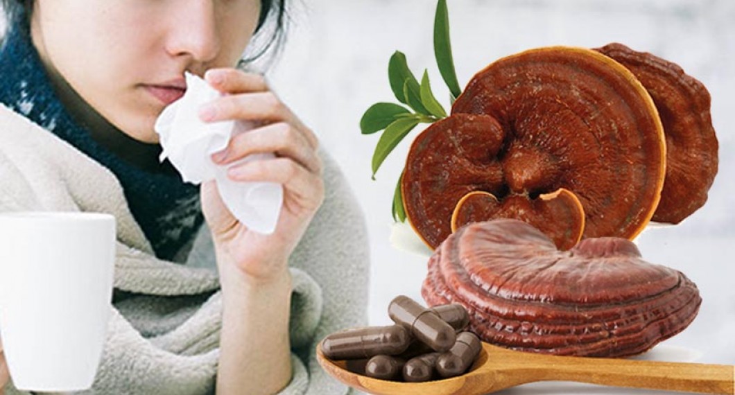 养生「芝」选-灵芝孢子粉7大功效