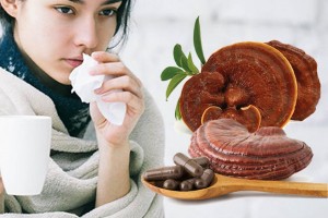 养生「芝」选-灵芝孢子粉7大功效